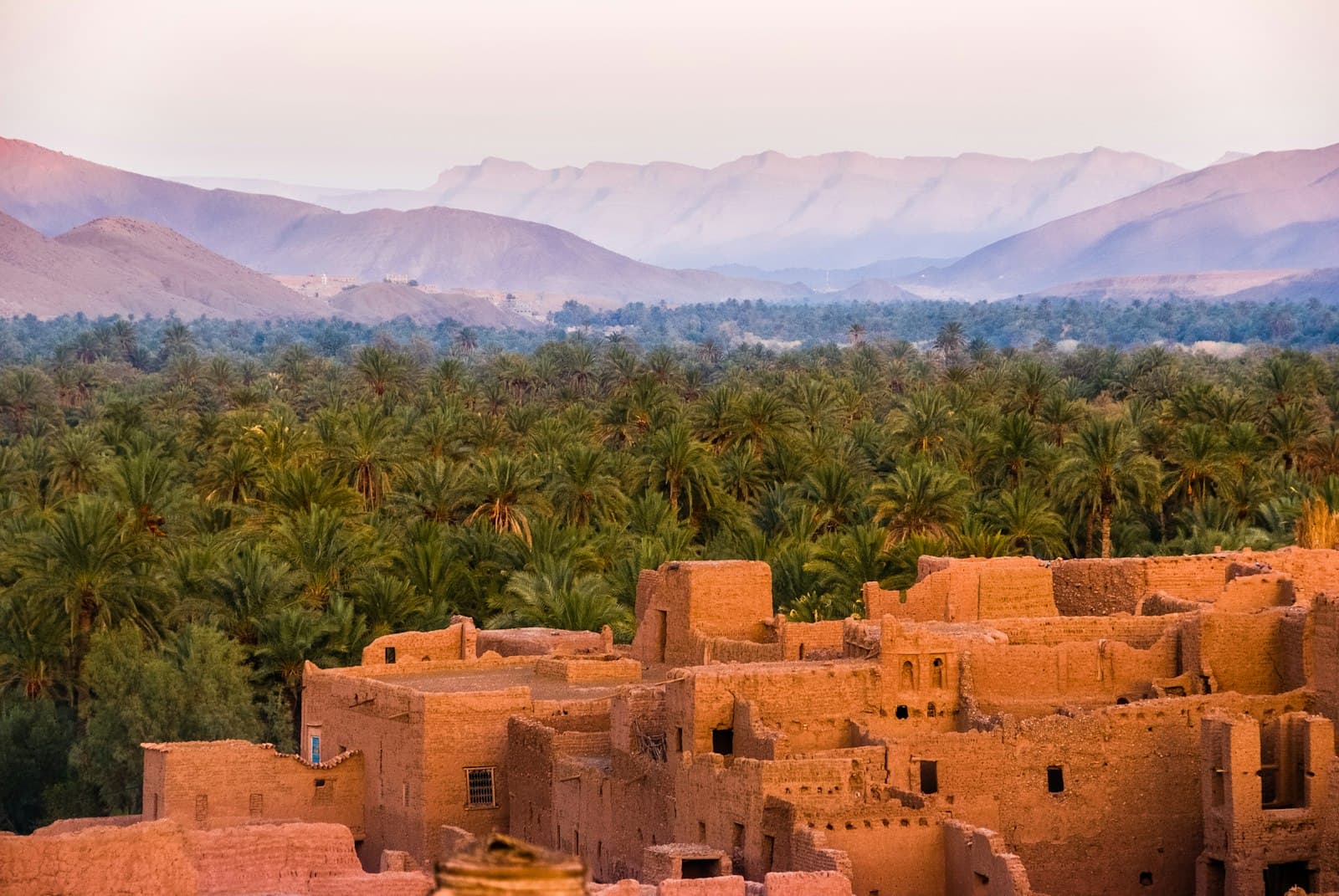 Moroccan landscape: kasbah and palm grove